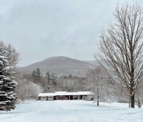 Charming home - views of Hunter Mountain slopes
